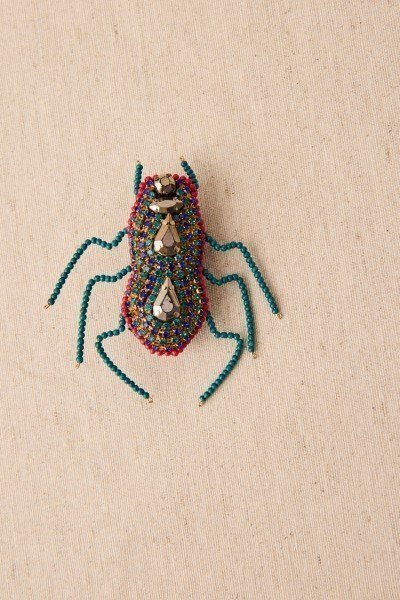Broche insecto