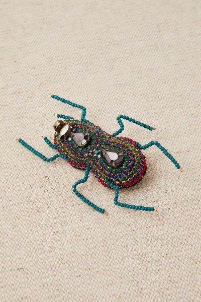 Broche insecto