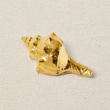 Broche Caracola Oro