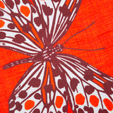 Fular Estampado Mariposa Caldera