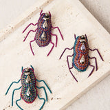 Broche Insecto Celeste